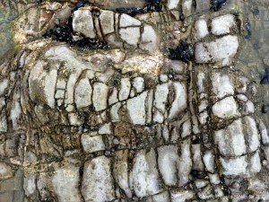 Rocks on the Worms Head Causeway in Gower