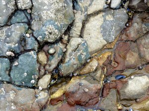 Rocks on the Worms Head Causeway in Gower