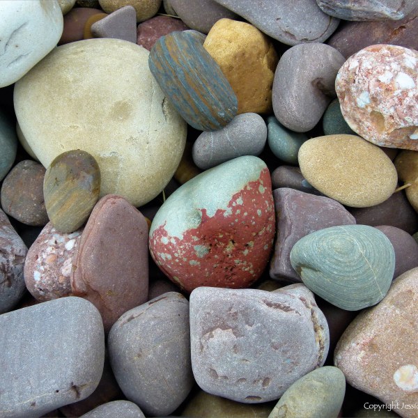 Large pebbles of different rock types on the beach