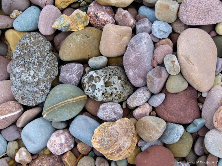 Large pebbles of different rock types on the beach