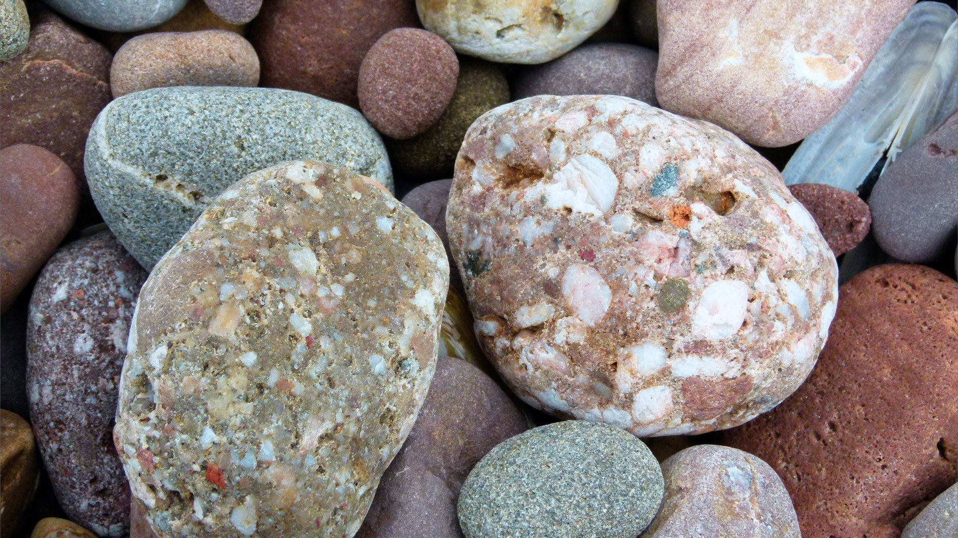 Large pebbles of different rock types on the beach