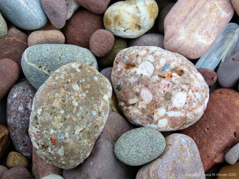 Large pebbles of different rock types on the beach