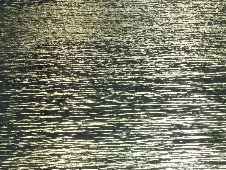 Early morning light reflected on calm water