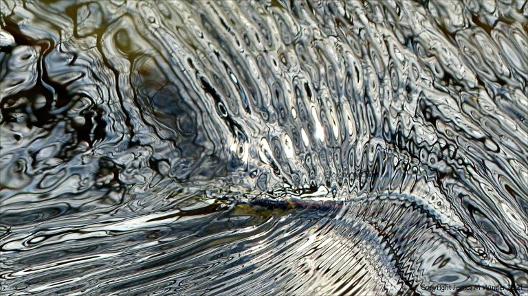 Intricate changing patterns of reflected light on fast flowing water