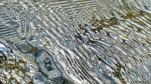 Intricate changing patterns of reflected light on fast flowing water
