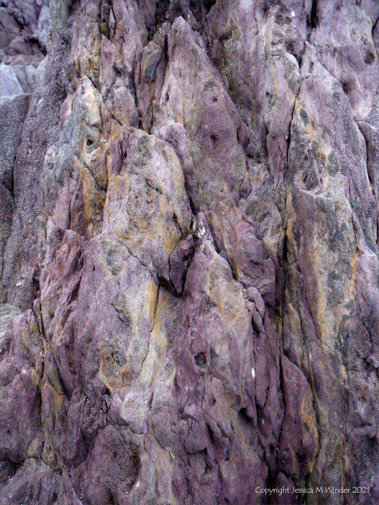 Devonian rocks at Trabeg on Dingle in Ireland.