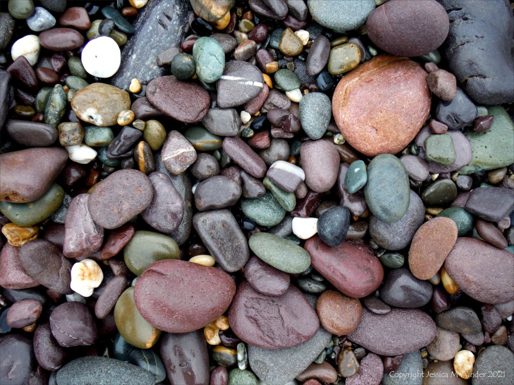 Coloured wet pebbles on the beach
