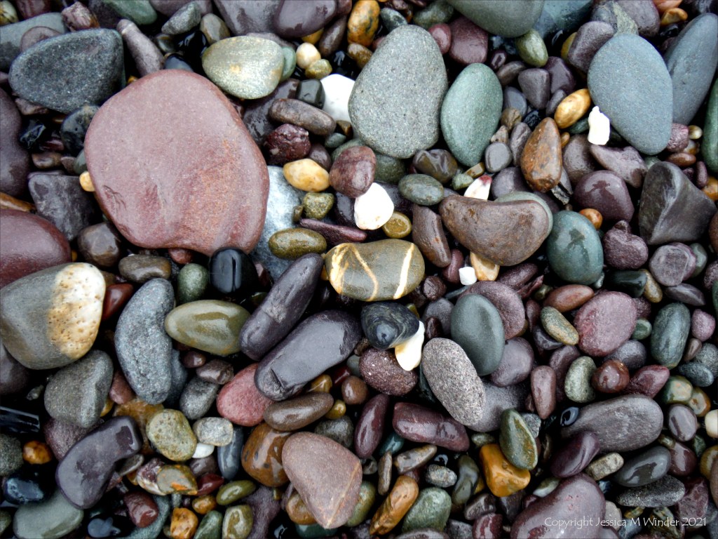 Coloured wet pebbles on the beach