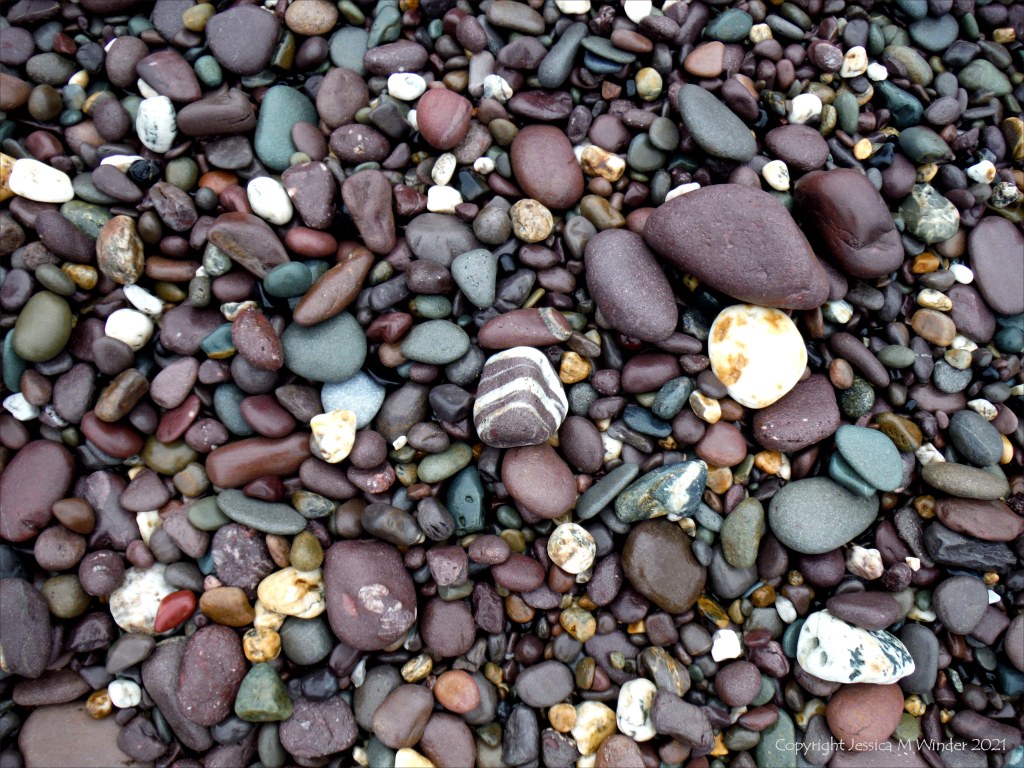 Coloured wet pebbles on the beach