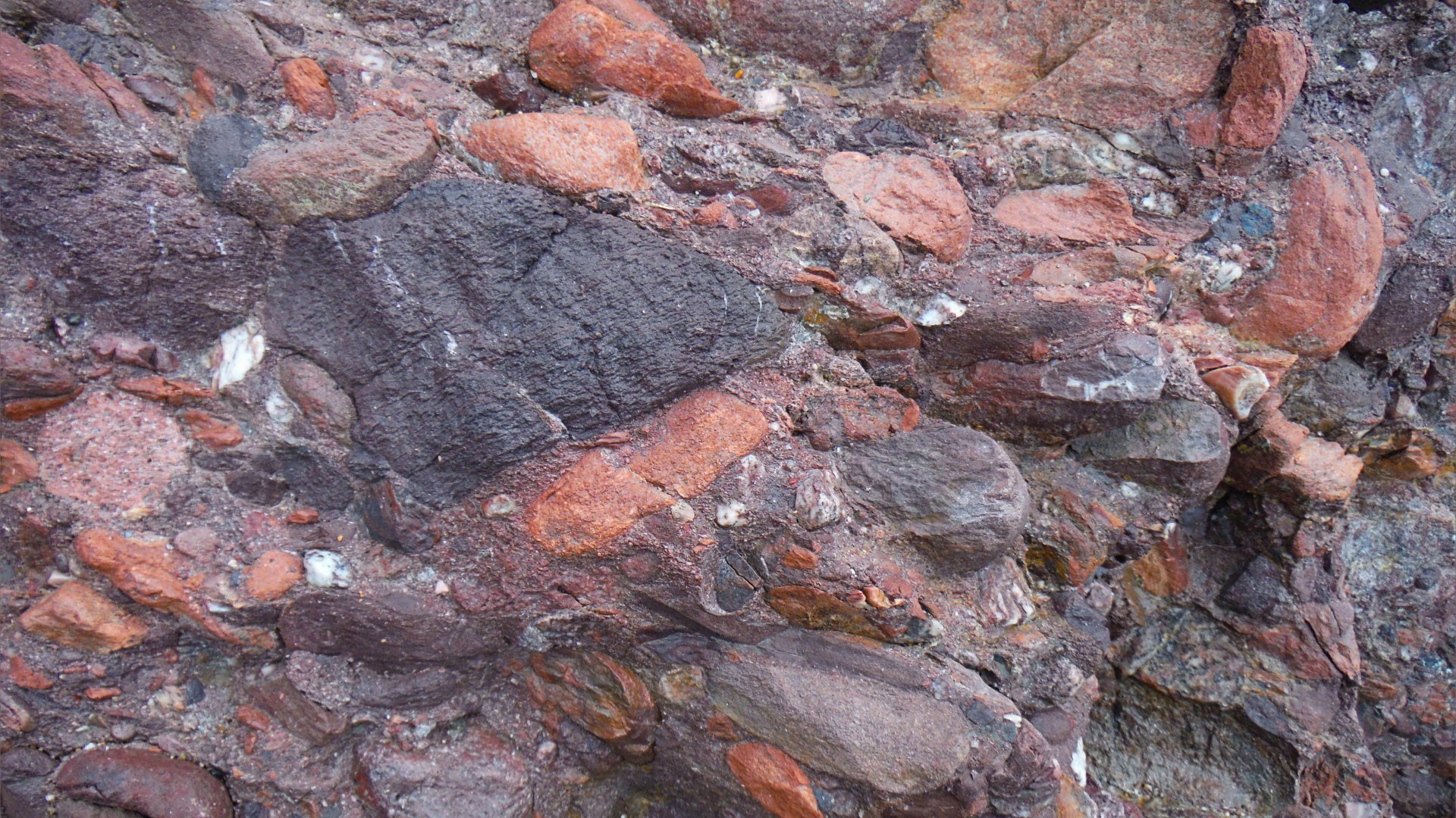 Devonian conglomerate at Trabeg on Dingle in Ireland.