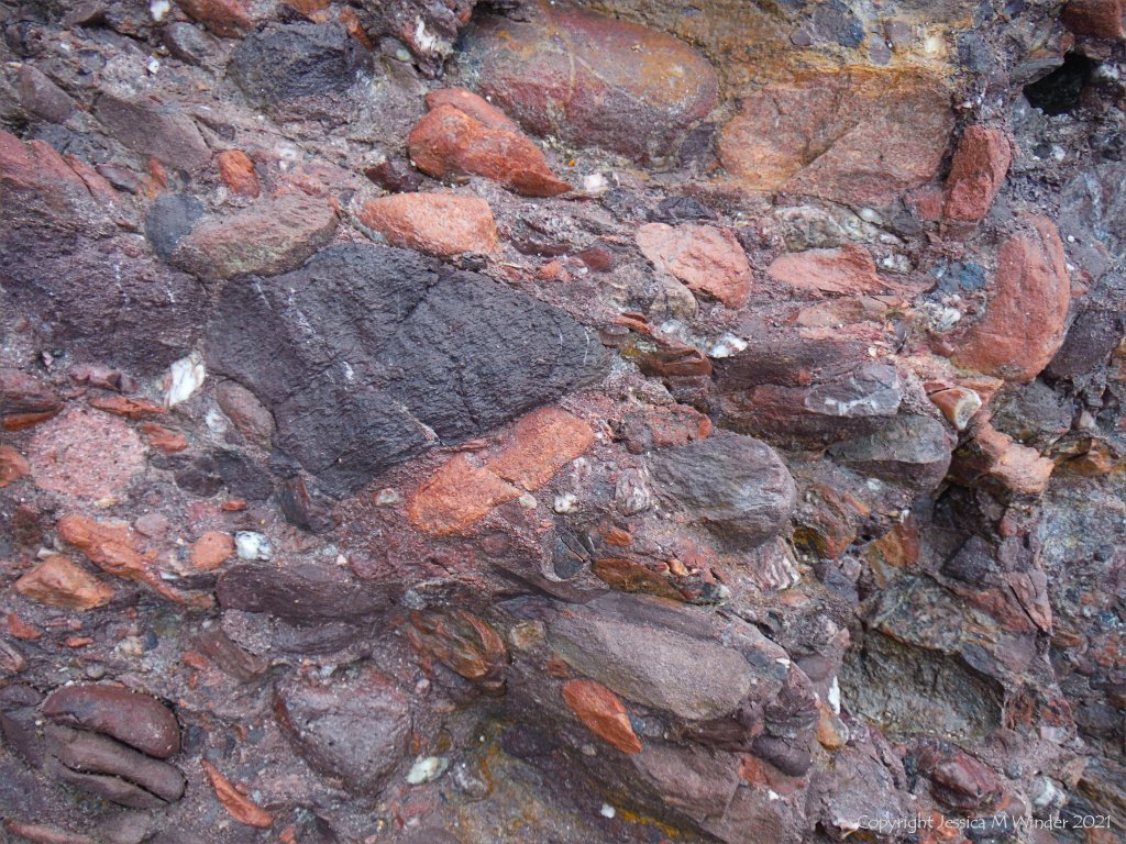 Devonian conglomerate at Trabeg on Dingle in Ireland.