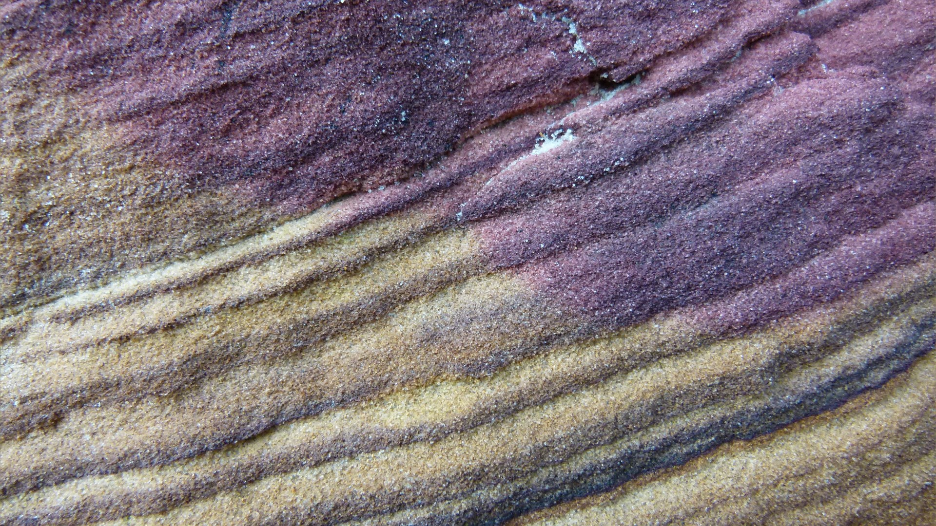 Close-up of natural pattern and texture in rock
