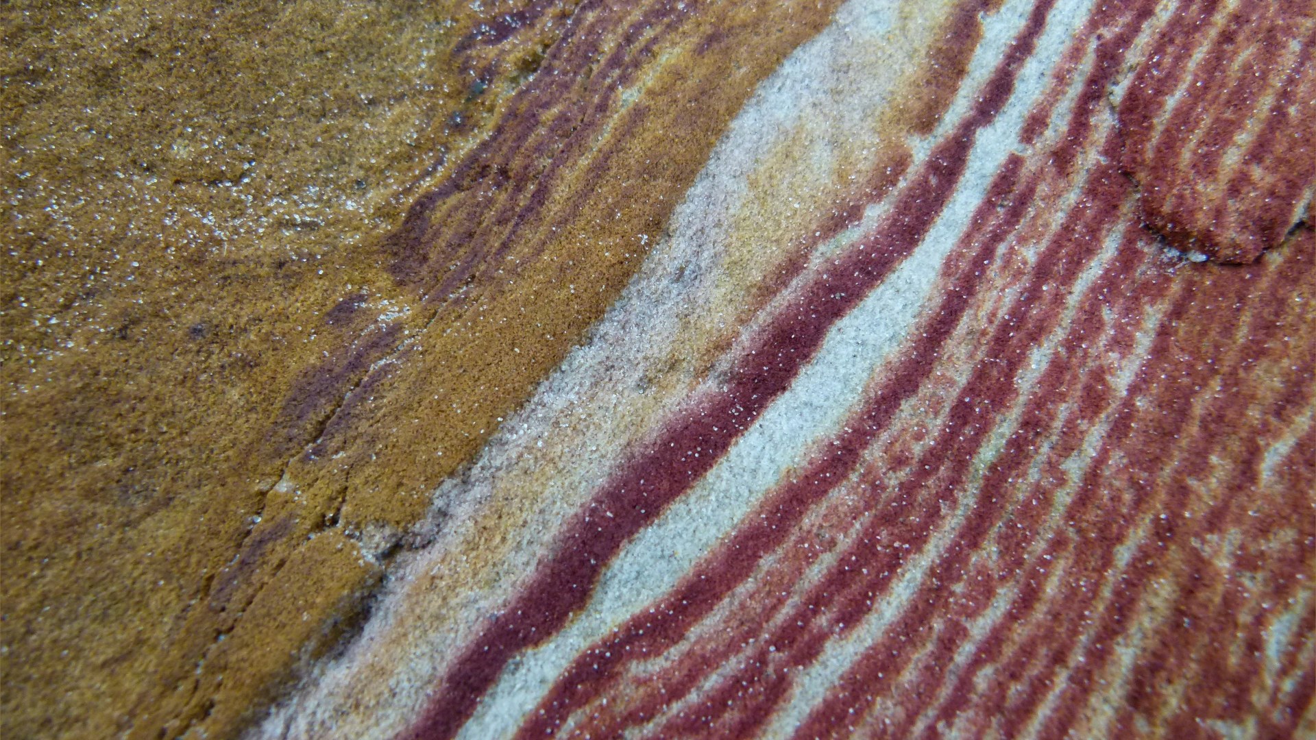 Close-up of natural pattern and texture in rock