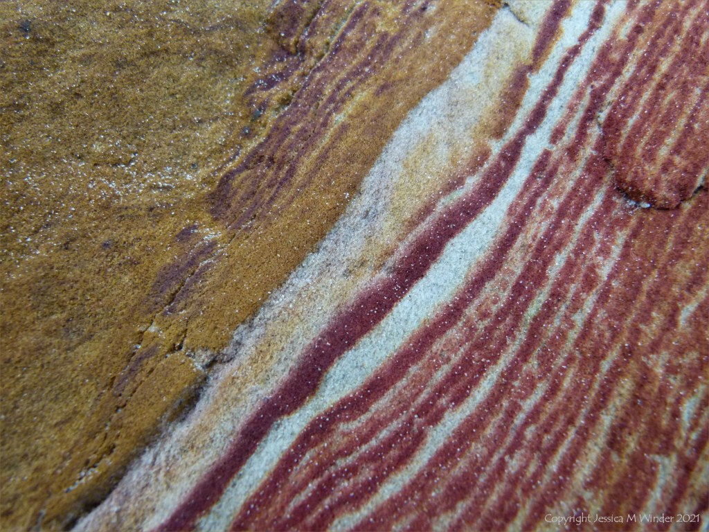 Close-up of natural pattern and texture in rock