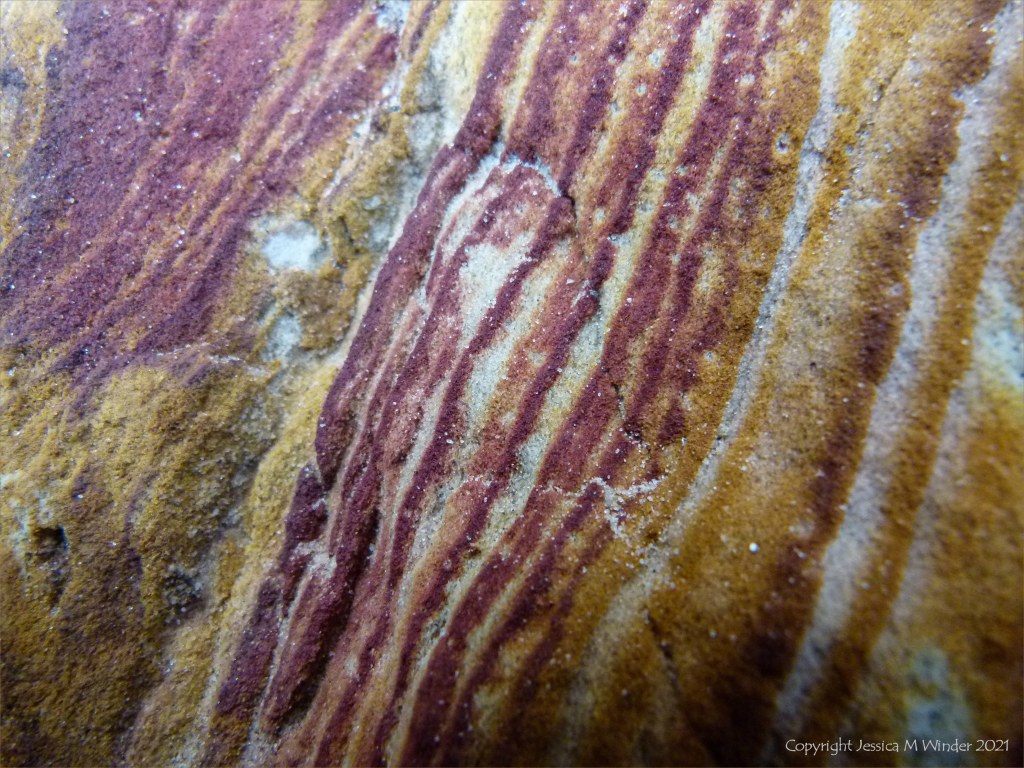 Close-up of natural pattern and texture in rock