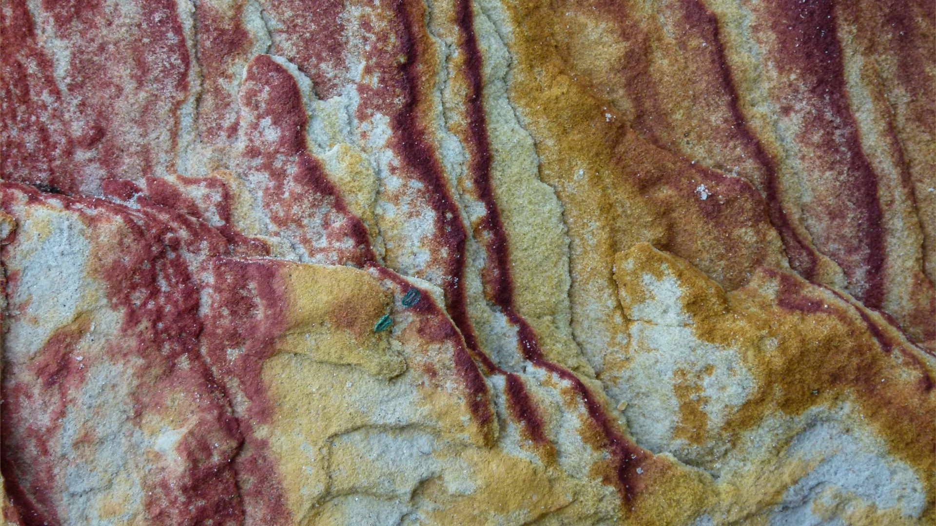 Close-up of natural pattern and texture in rock
