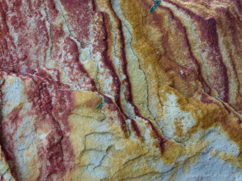 Close-up of natural pattern and texture in rock