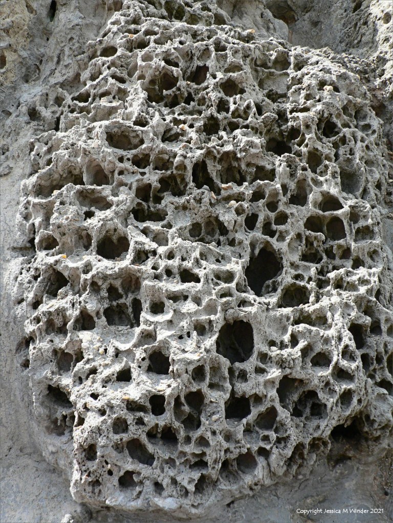 Rock with holes caused by natural erosion in a sea wall
