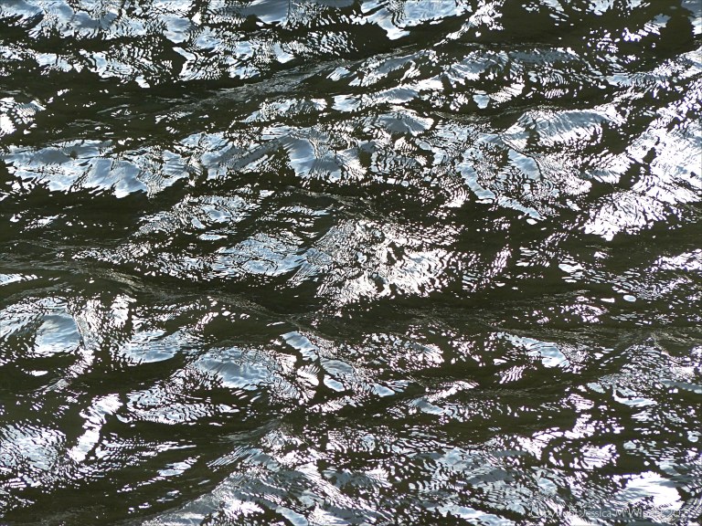 Natural abstract patterns of light reflected on flowing water