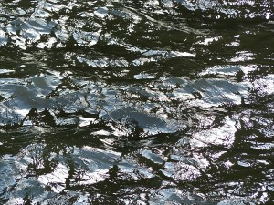 Abstract patterns of light reflected on the surface of flowing water