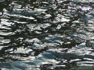 Abstract patterns of light reflected on the surface of flowing water