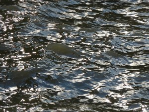 Abstract patterns of light reflected on the surface of flowing water