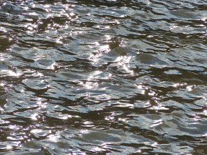 Abstract patterns of light reflected on the surface of flowing water