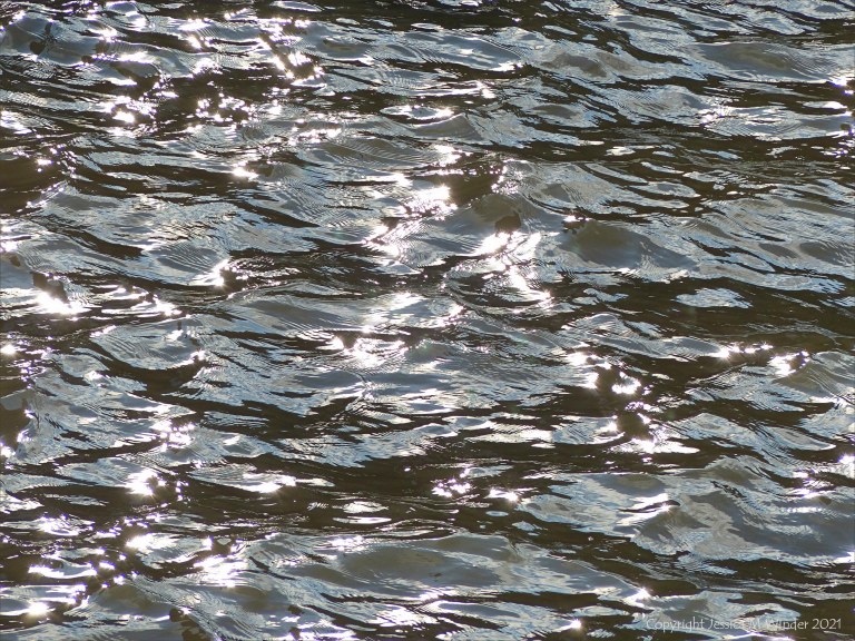 Abstract patterns of light reflected on the surface of flowing water