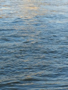 Golden reflected light on water in deep flowing river