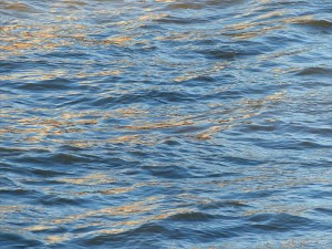 Golden reflected light on water in deep flowing river