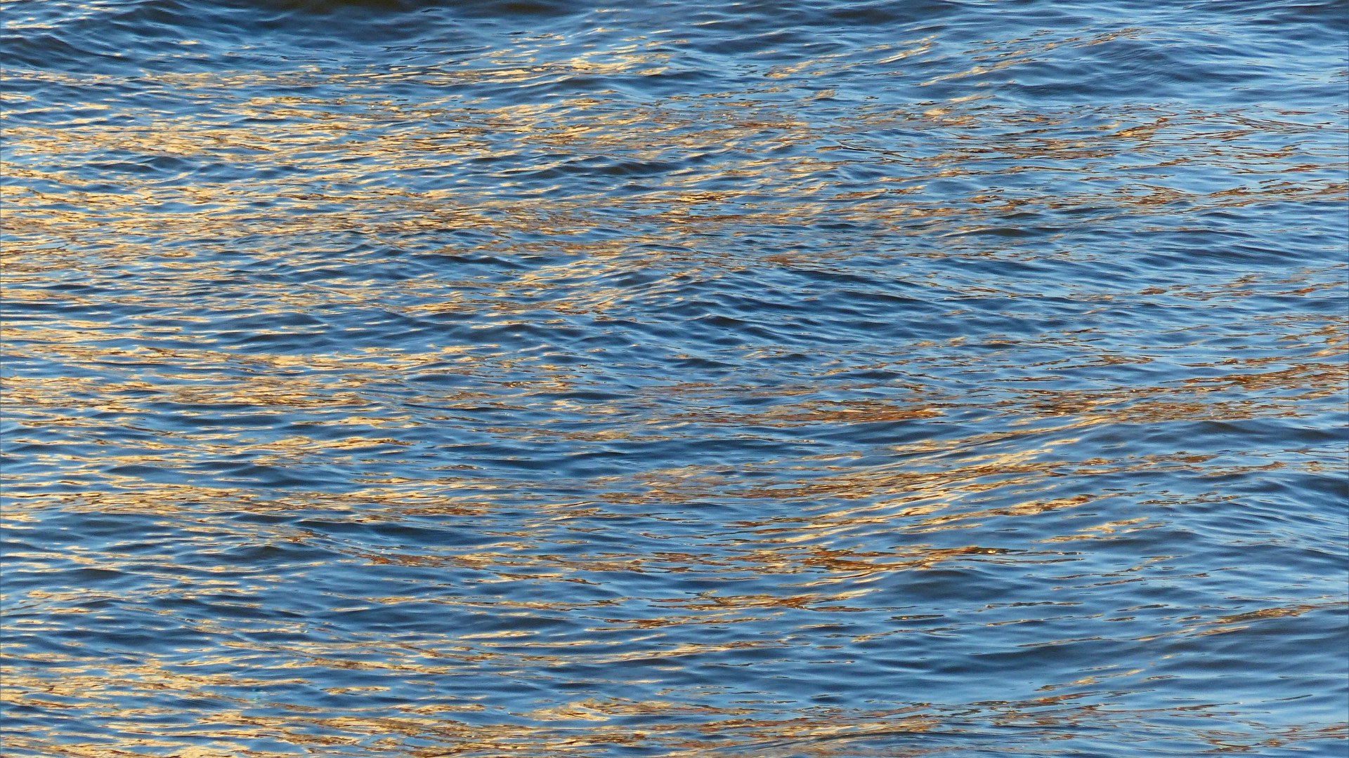 Golden reflected light on water in deep flowing river