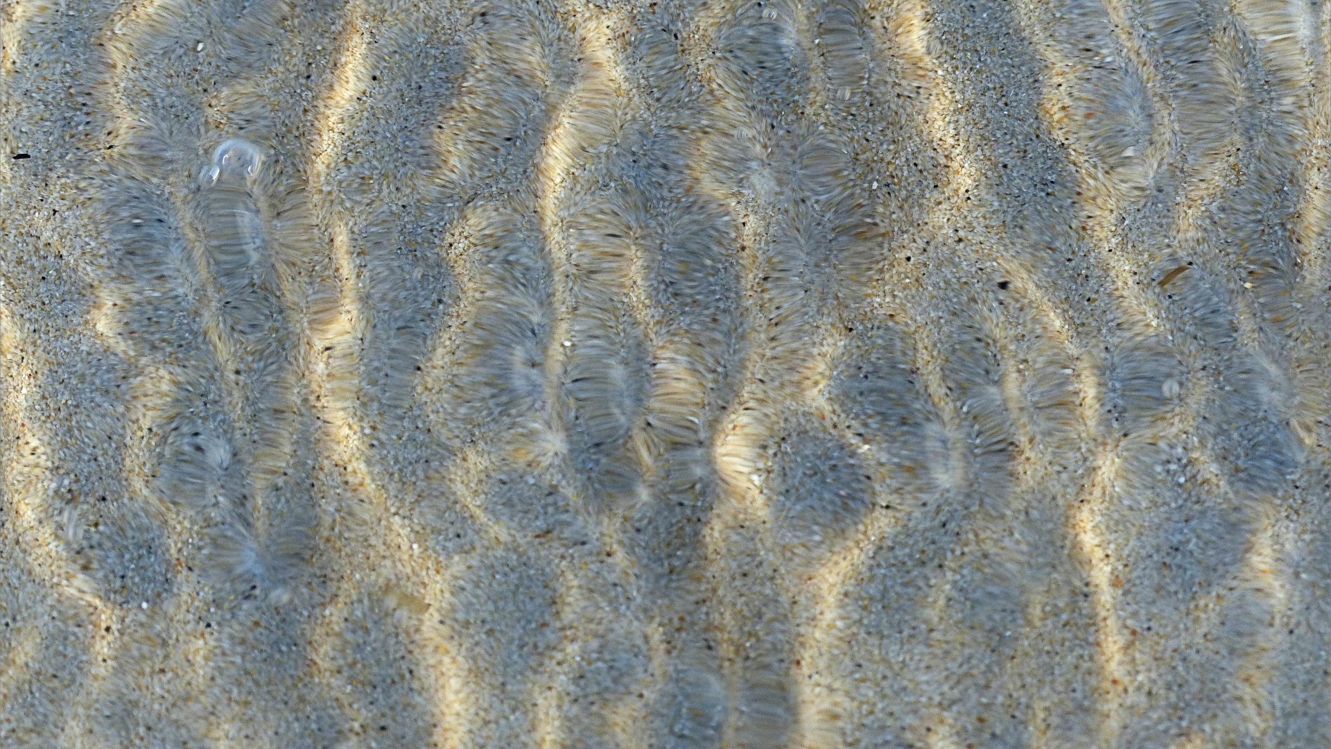 Close up detail of patterns created by water moving across sand