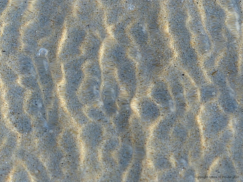 Close up detail of patterns created by water moving across sand