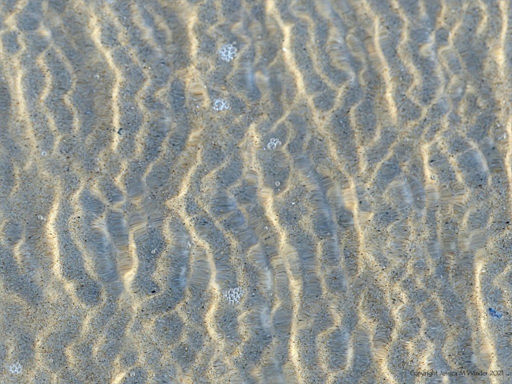 Close up detail of patterns created by water moving across sand