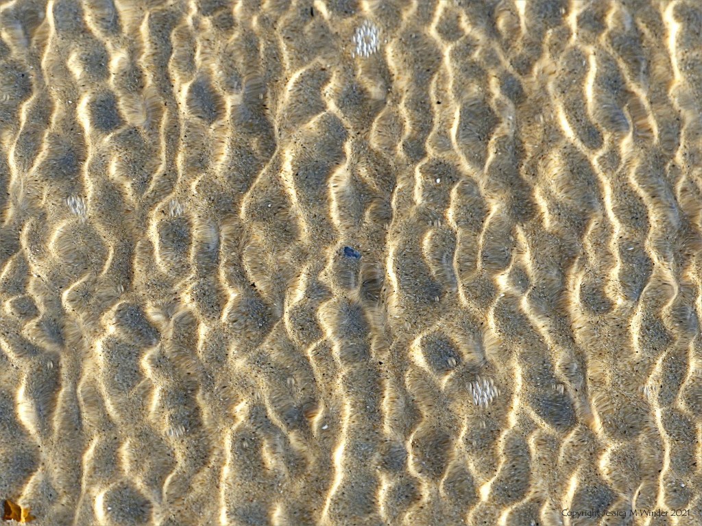 Close up detail of patterns created by water moving across sand