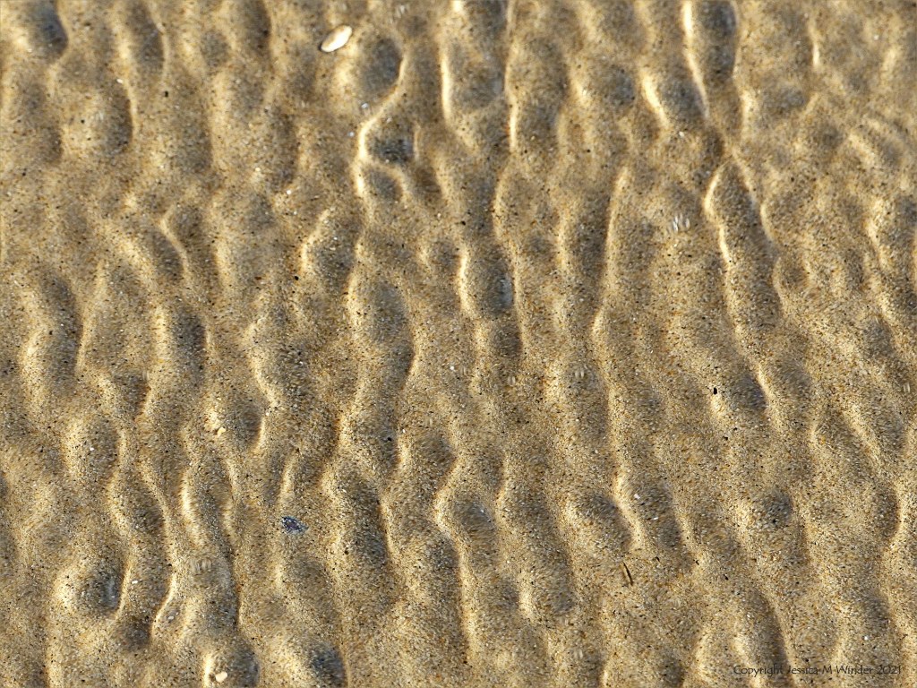 Close up detail of patterns created by water moving across sand