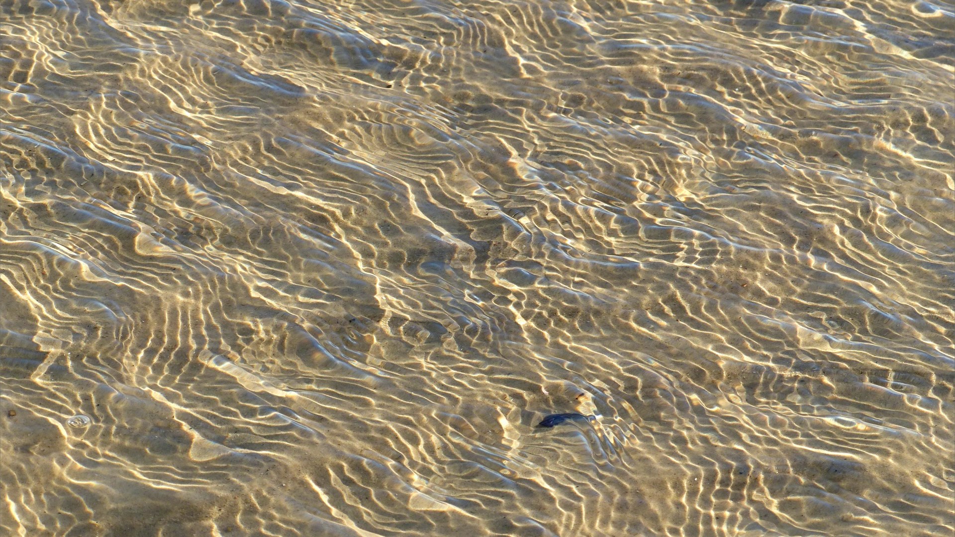 Details of reflected light patterns on sea water washing over sand at the beach