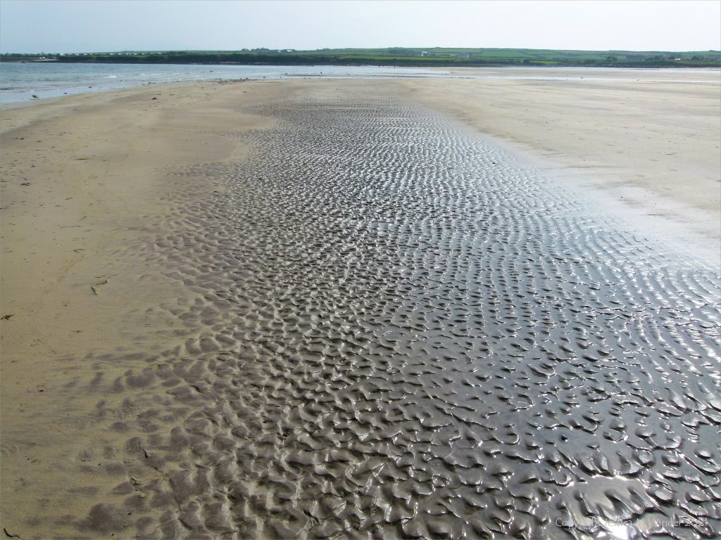 Ripple texture patterns in sand on the seashore