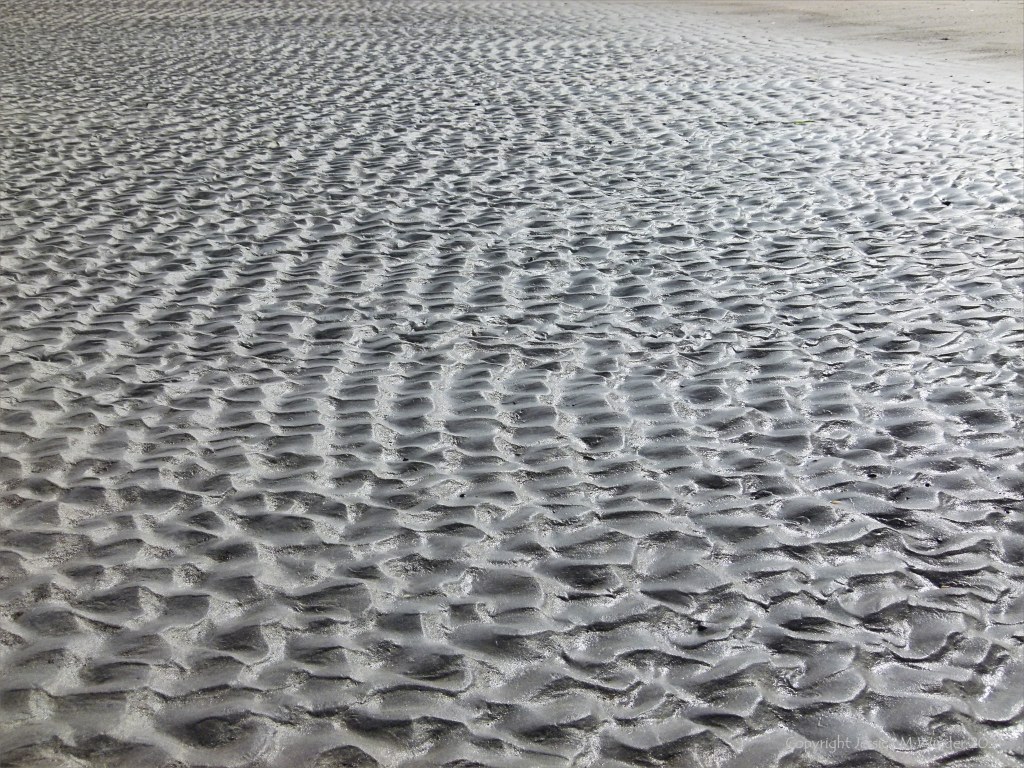 Ripple texture patterns in sand on the seashore