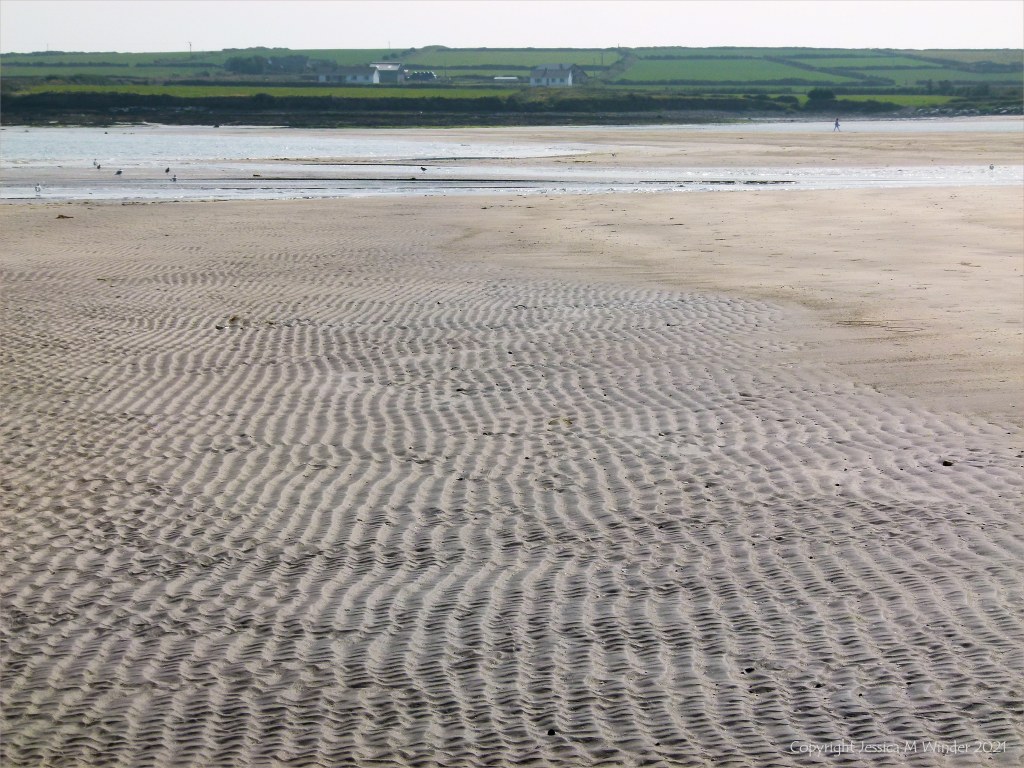 Natural patterns and texture in sand