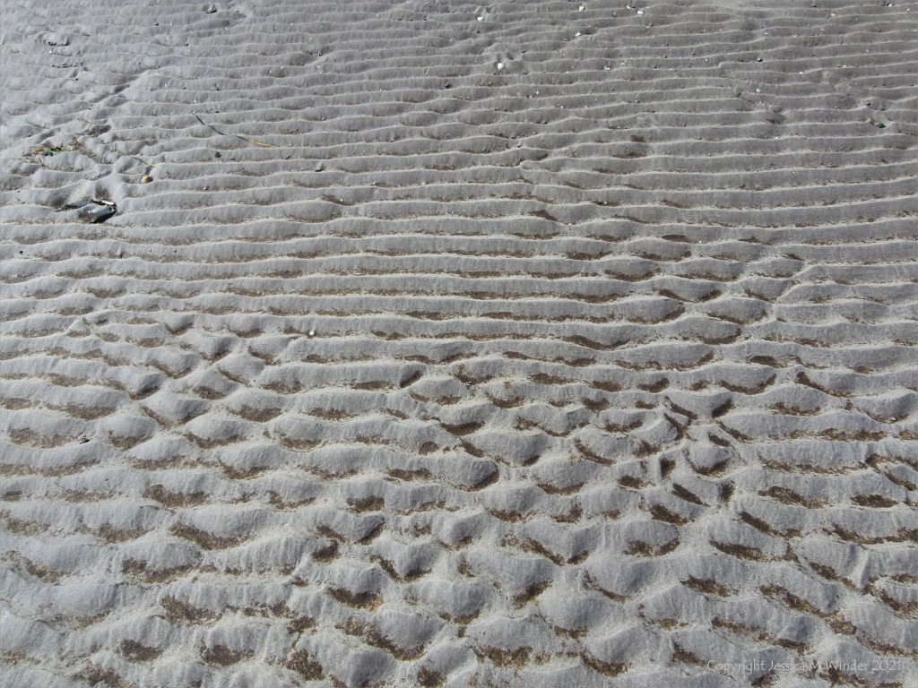 Natural patterns and texture in sand