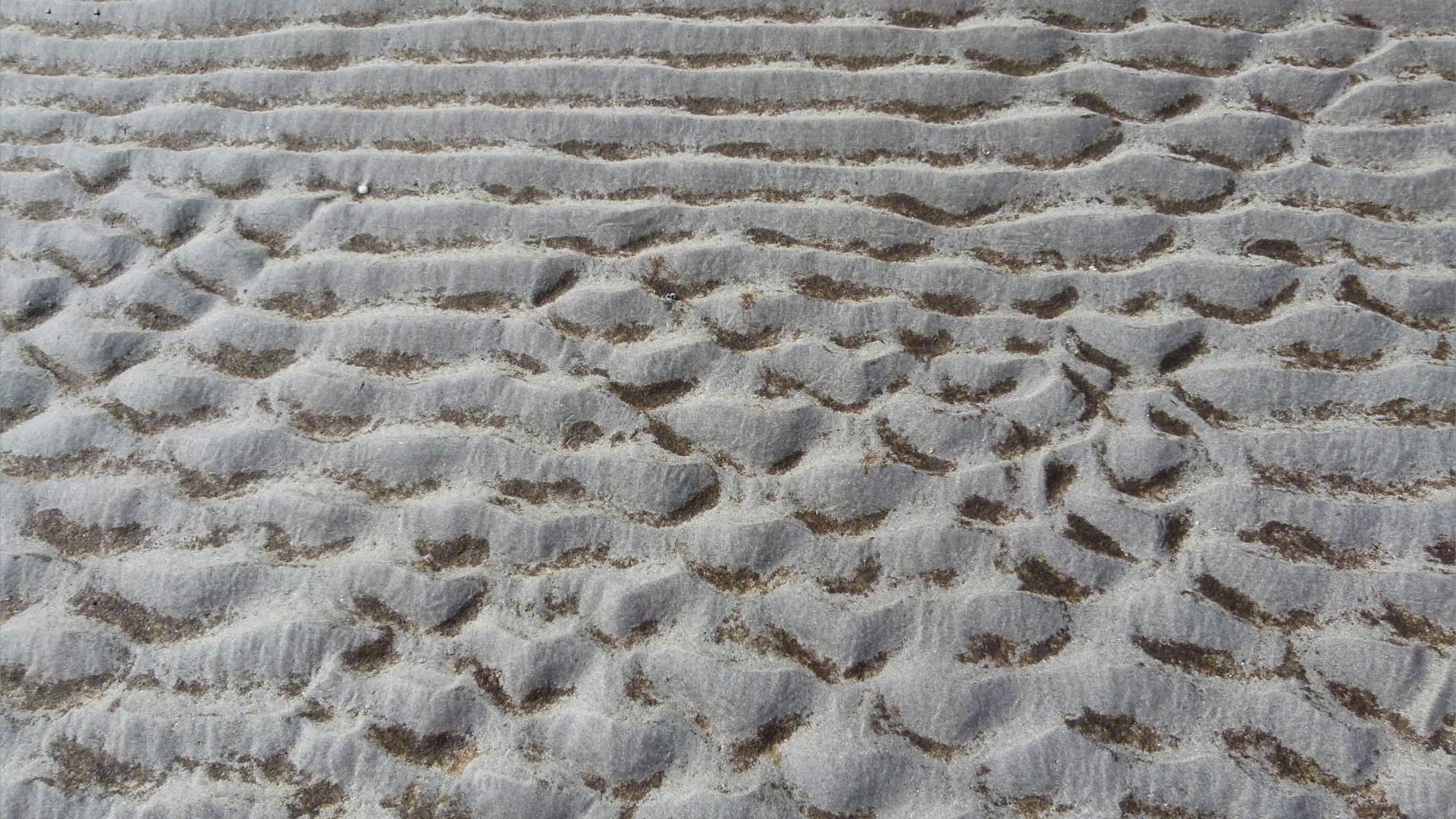 Natural patterns and texture in sand