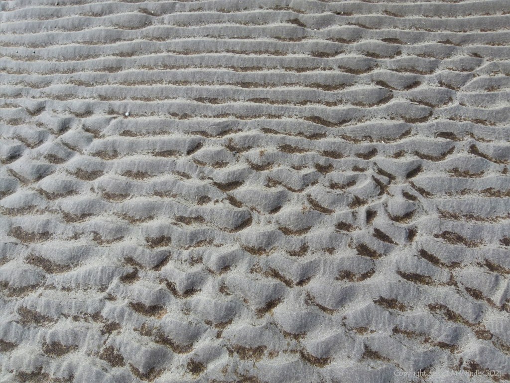 Natural patterns and texture in sand