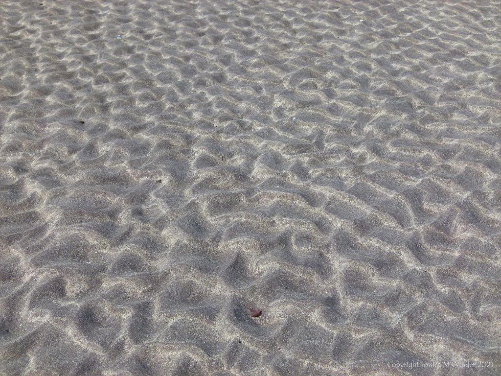 Natural patterns and texture in sand