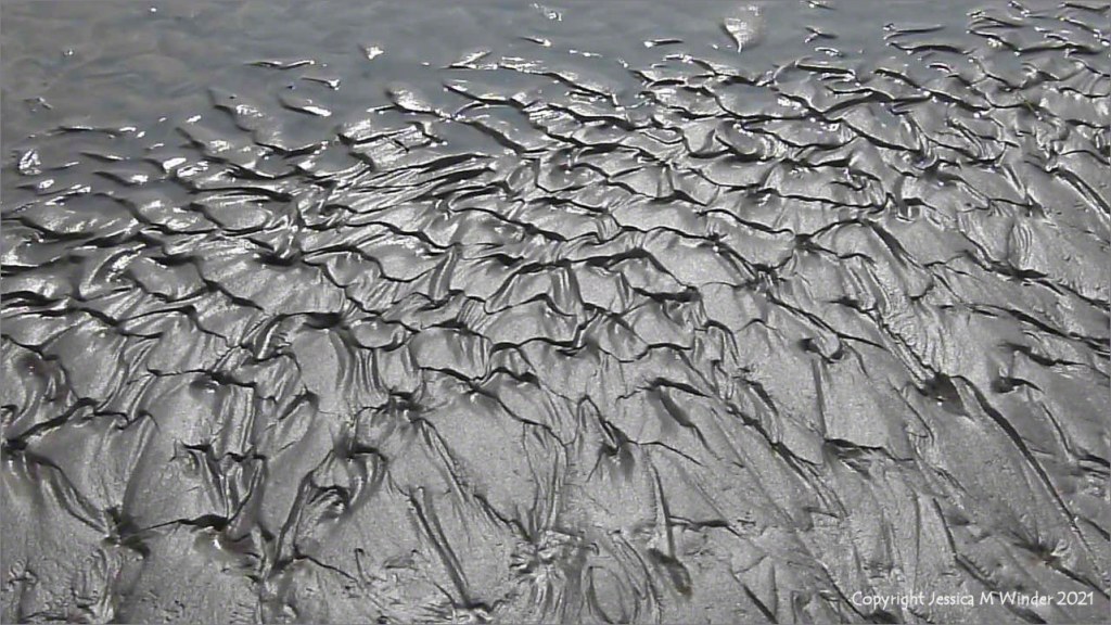 Natural patterns and texture in wet sand on the seashore