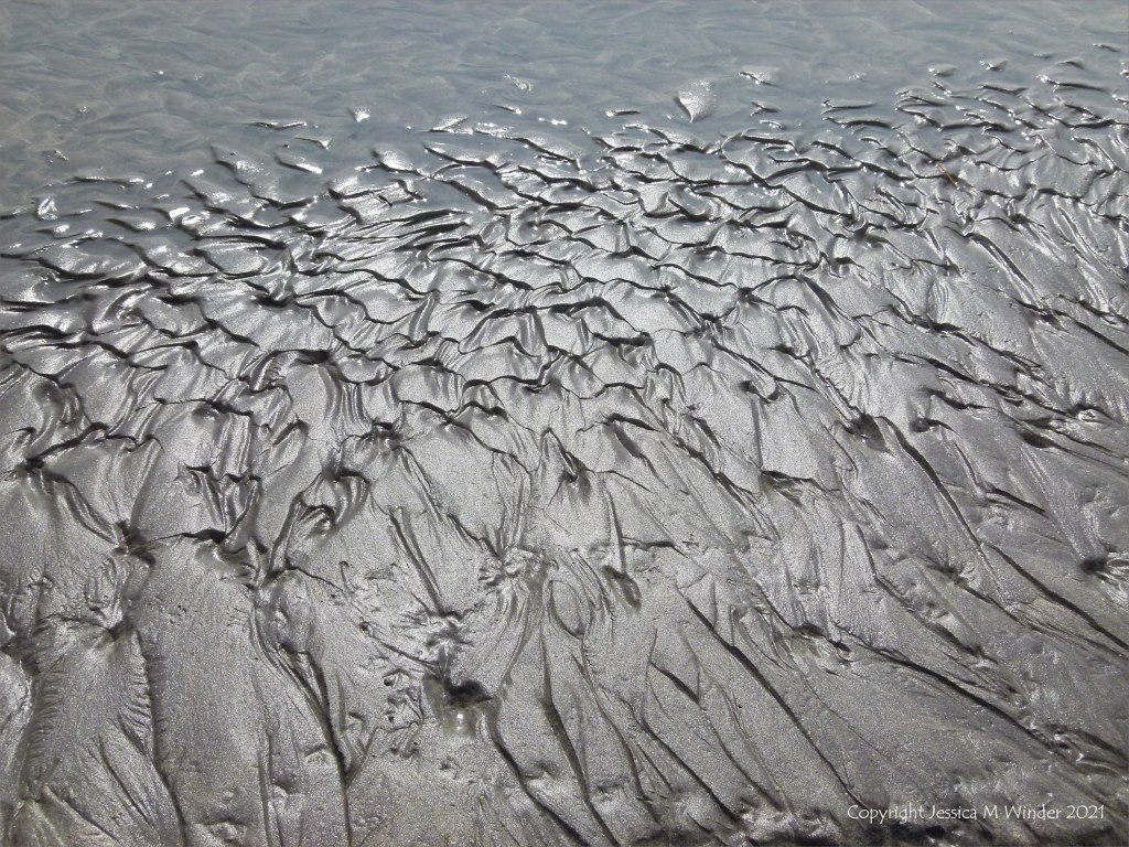 Natural patterns and texture in wet sand on the seashore