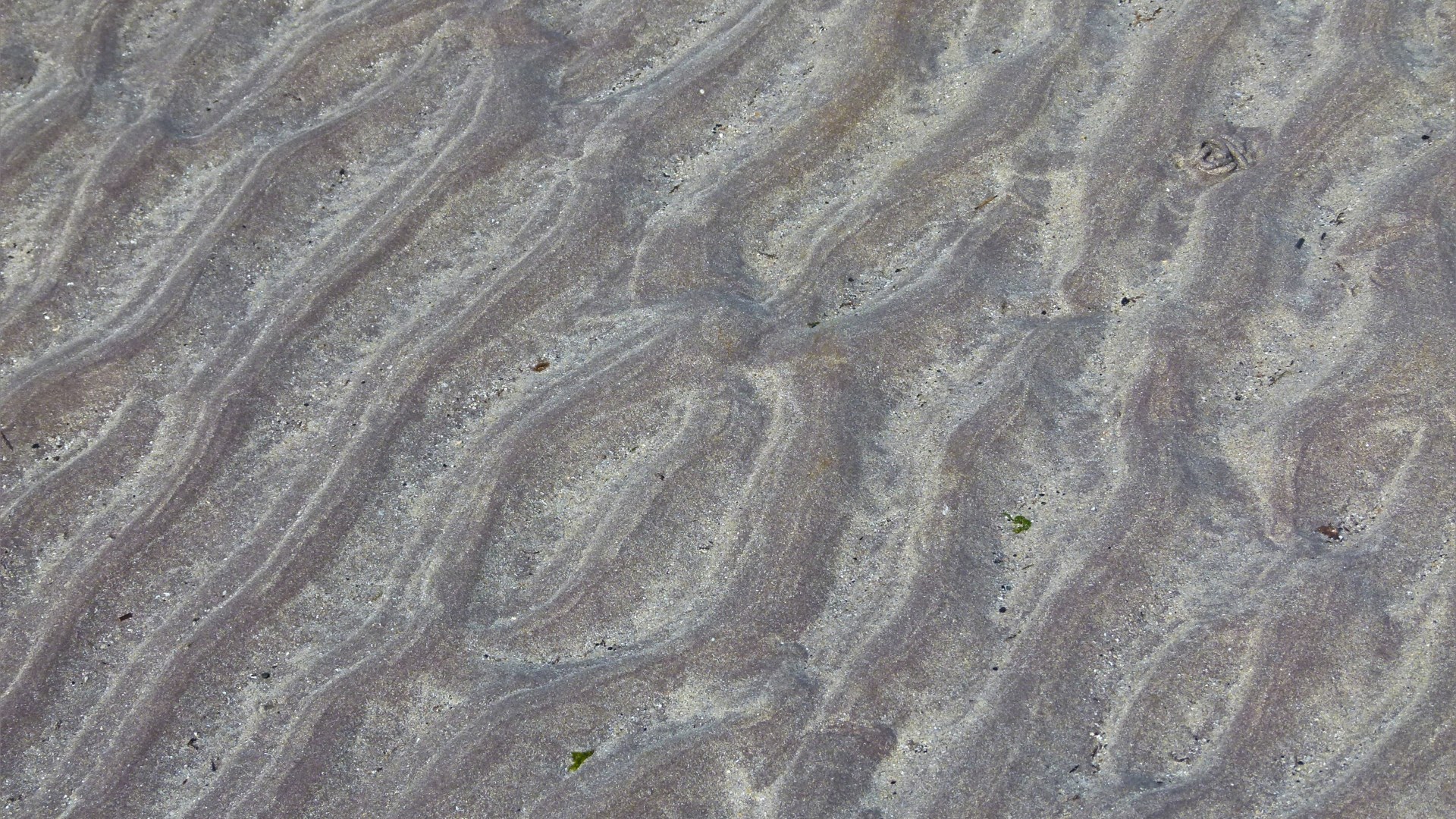 Natural sand ripples left by the tide on the beach