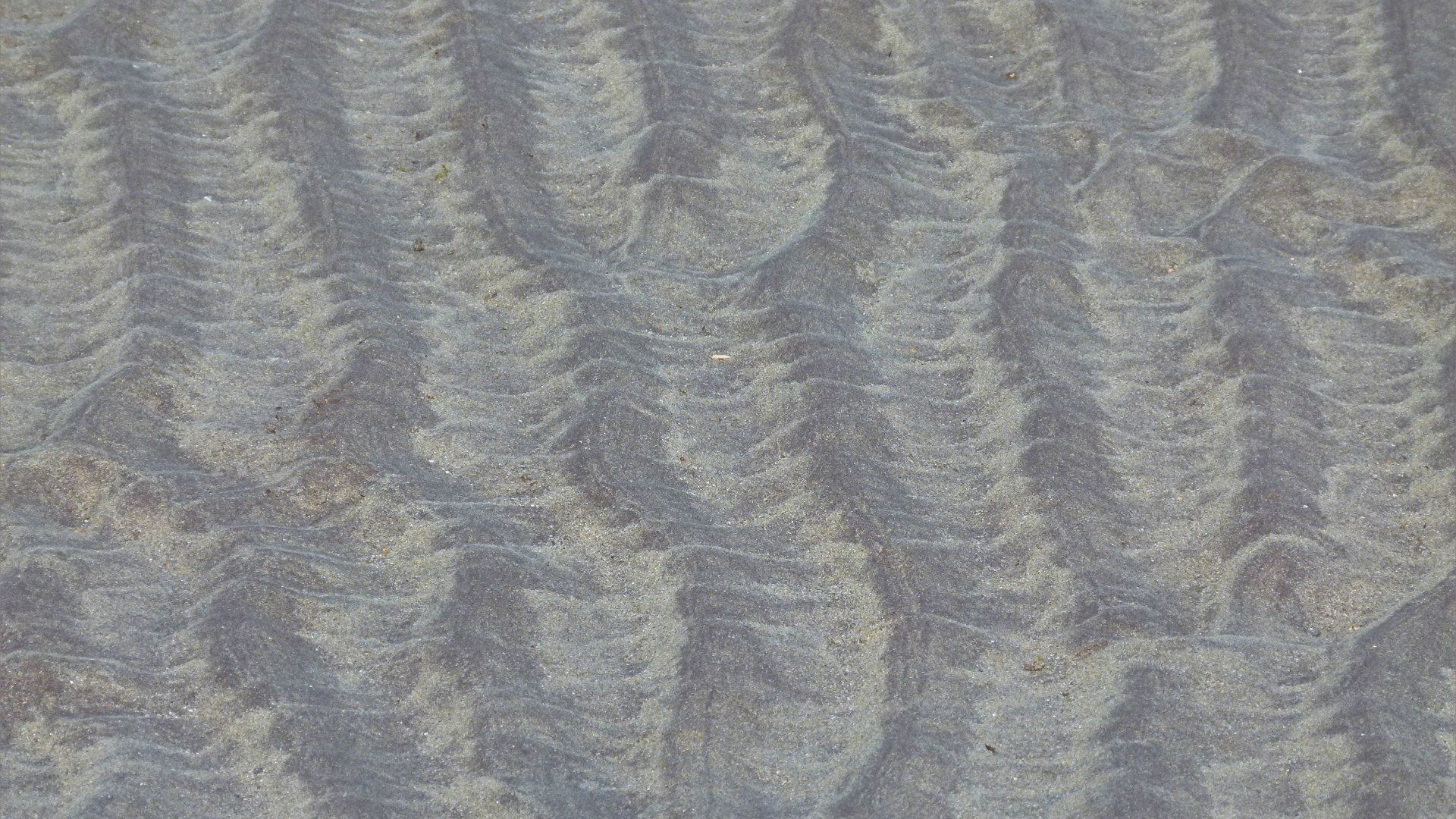 Natural sand ripples left by the tide on the beach