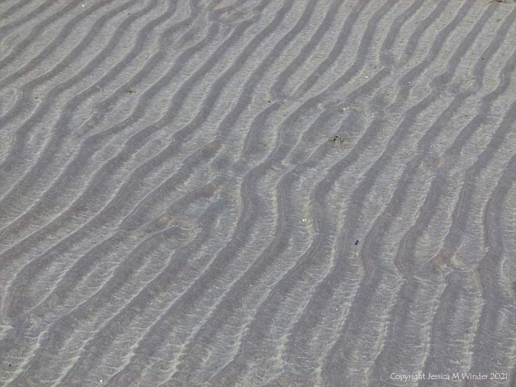 Natural sand ripples left by the tide on the beach