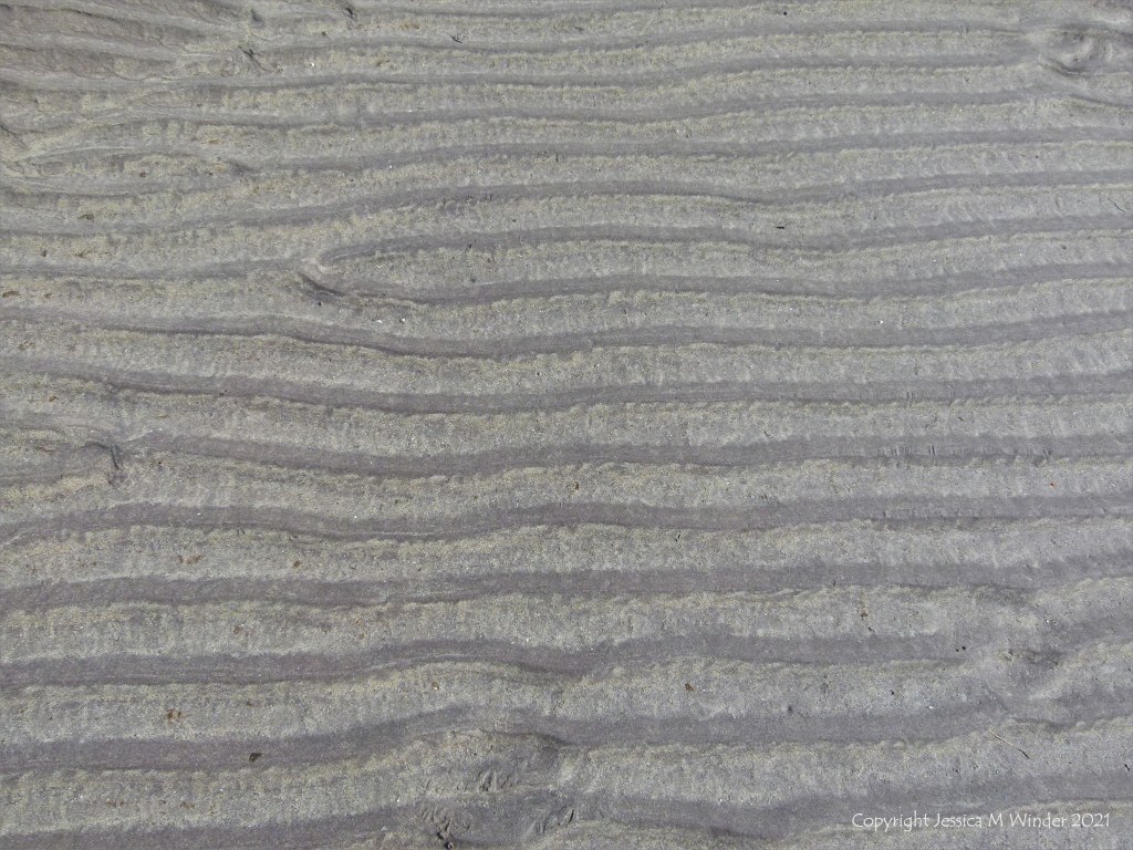 Natural sand ripples left by the tide on the beach
